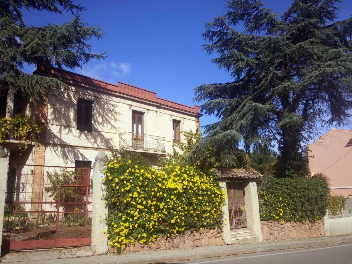 Bed and Breakfast Zia Chiarina San Nicolo Gerrei Zewnętrze zdjęcie