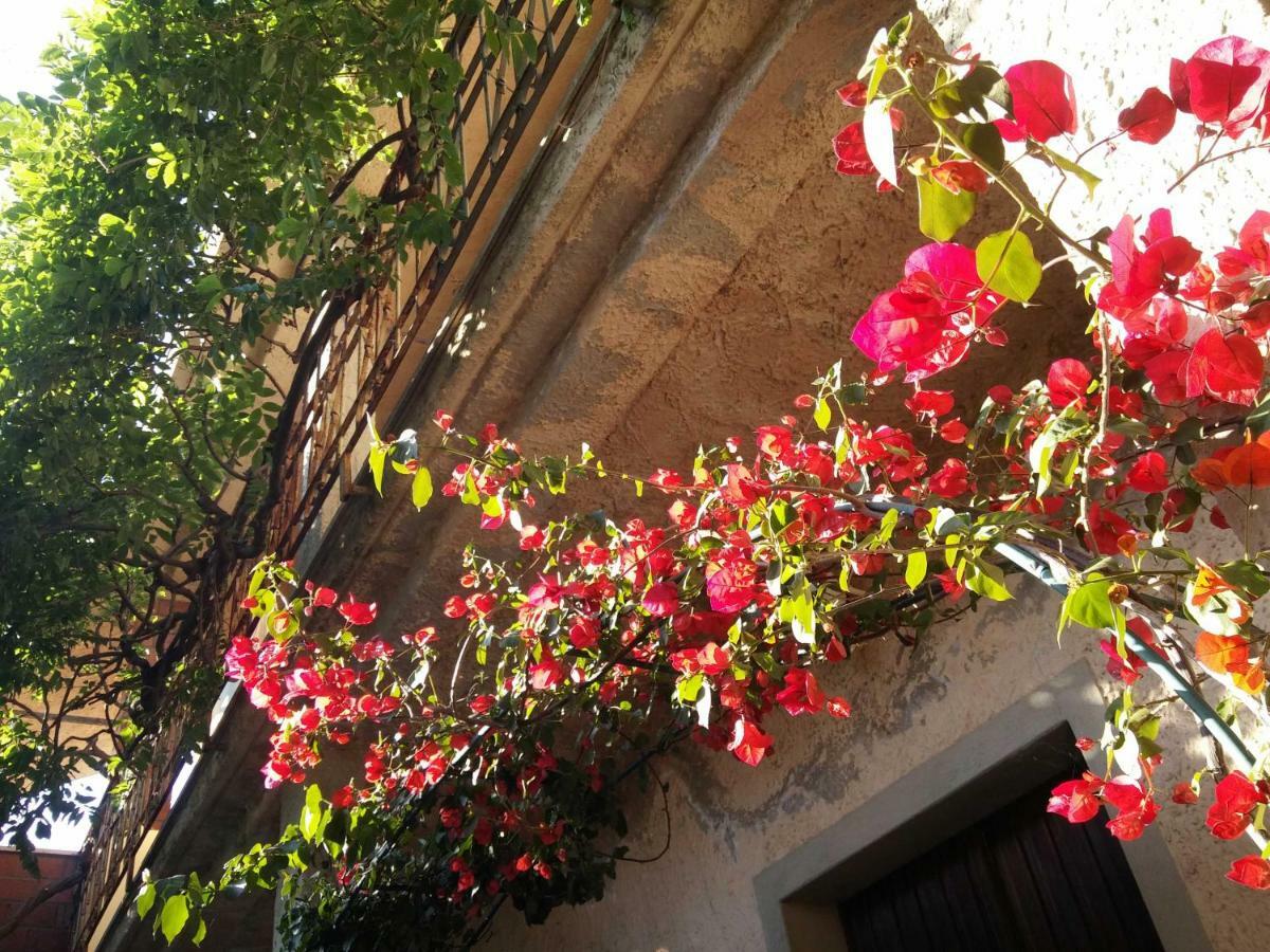 Bed and Breakfast Zia Chiarina San Nicolo Gerrei Zewnętrze zdjęcie