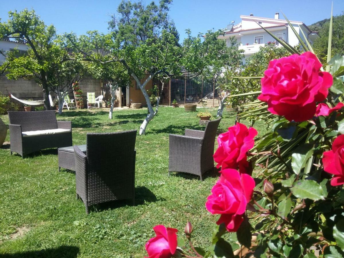 Bed and Breakfast Zia Chiarina San Nicolo Gerrei Zewnętrze zdjęcie