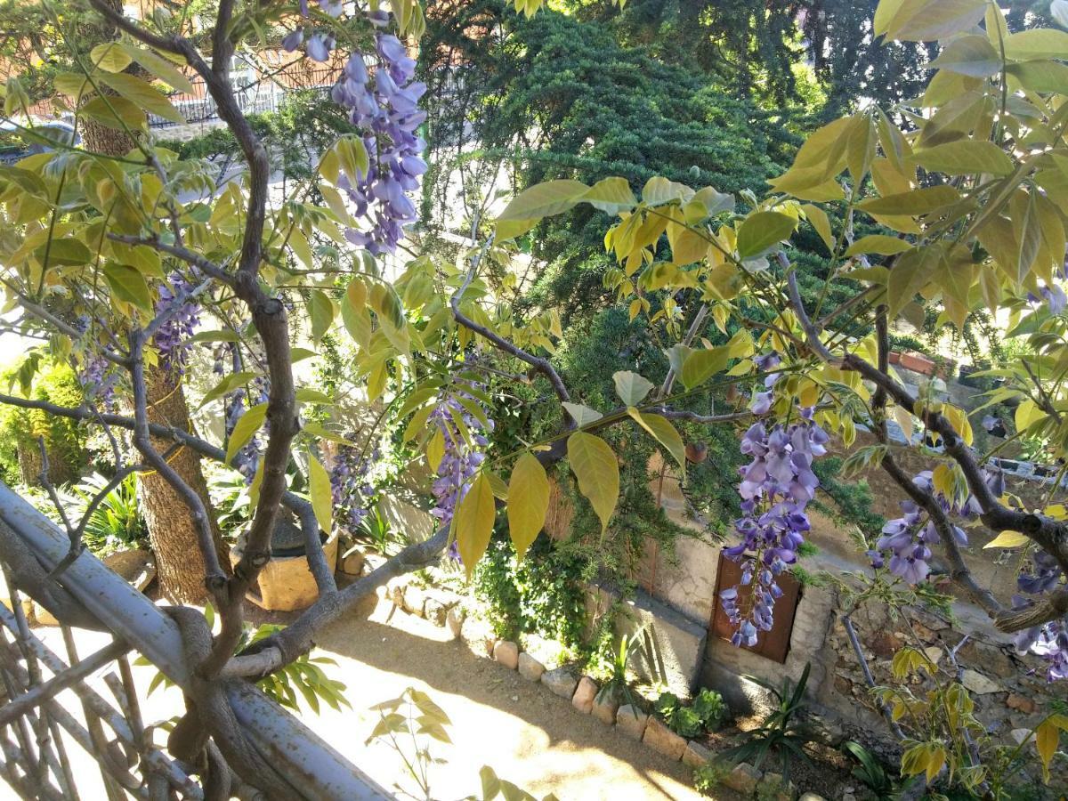 Bed and Breakfast Zia Chiarina San Nicolo Gerrei Zewnętrze zdjęcie