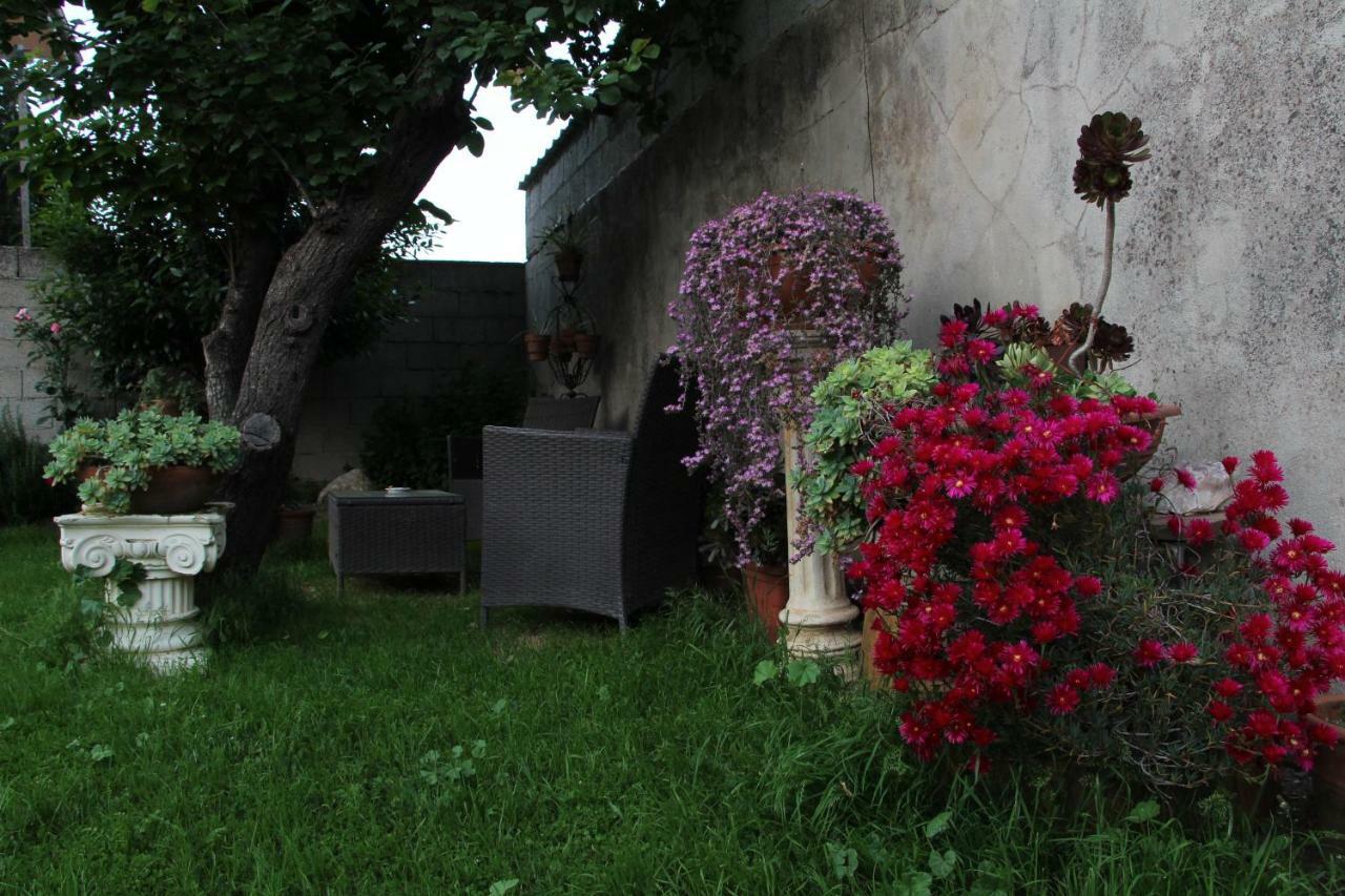 Bed and Breakfast Zia Chiarina San Nicolo Gerrei Zewnętrze zdjęcie